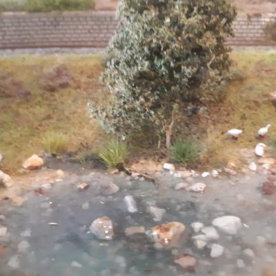 Img 20240812 Wa0004