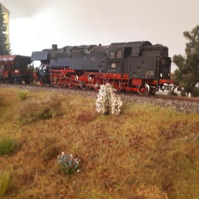 Img 20240812 Wa0019