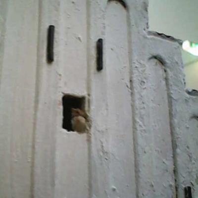 Photo 2025 11 29 15 30 05 147