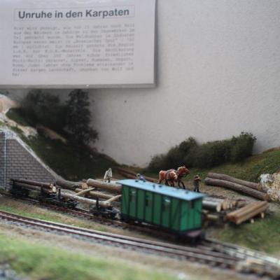 Img 8799