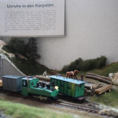 Img 8800