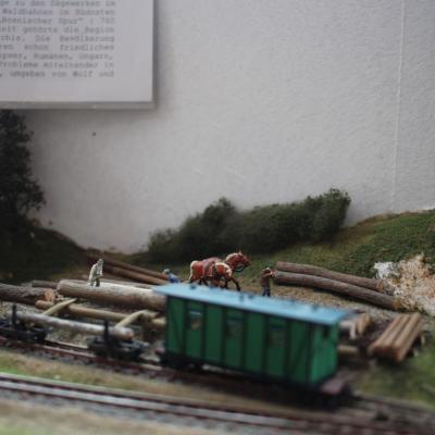 Img 8805
