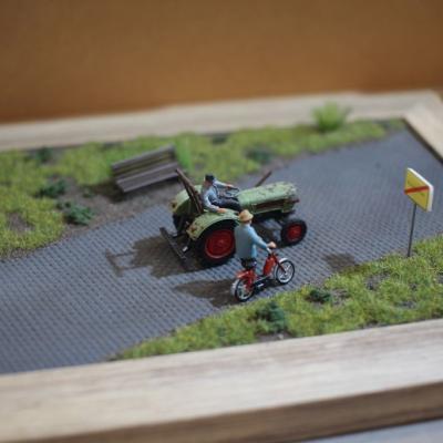 Img 8847