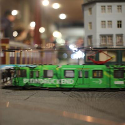 Img 8893